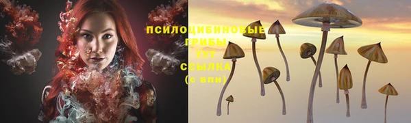 2c-b Балабаново