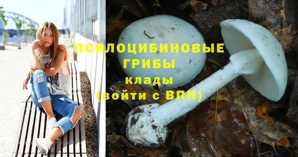СК Балахна