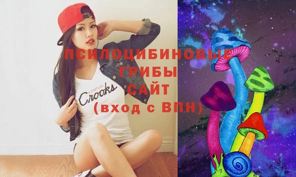 СК Балахна