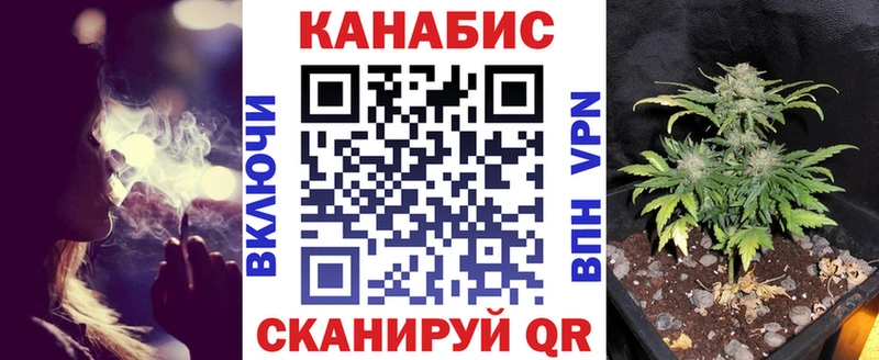 Бошки Шишки семена даркнет сайт Лесозаводск